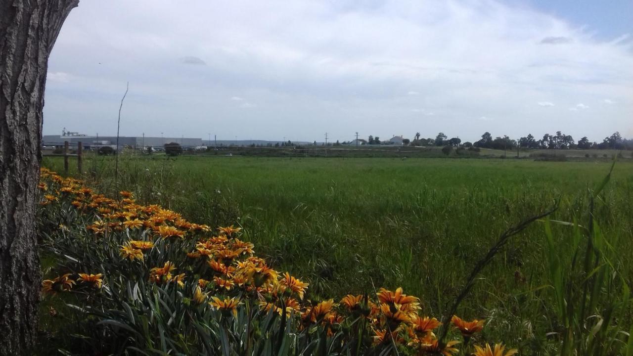 فندق توريس نوفاسفي  Casal Das Flores المظهر الخارجي الصورة