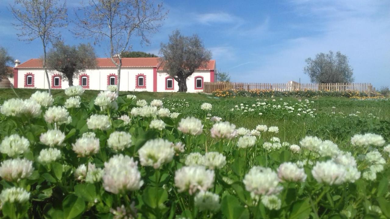 فندق توريس نوفاسفي  Casal Das Flores المظهر الخارجي الصورة