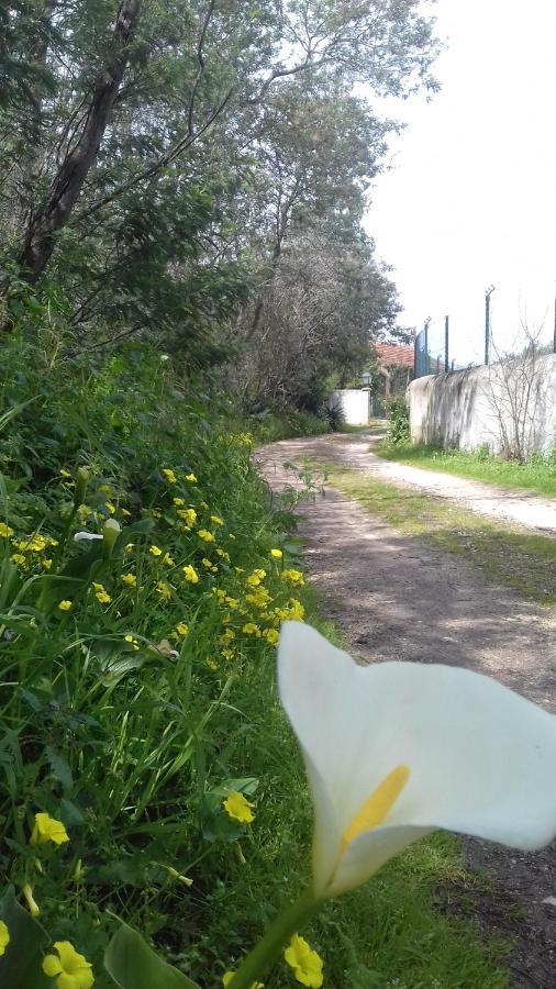 فندق توريس نوفاسفي  Casal Das Flores المظهر الخارجي الصورة